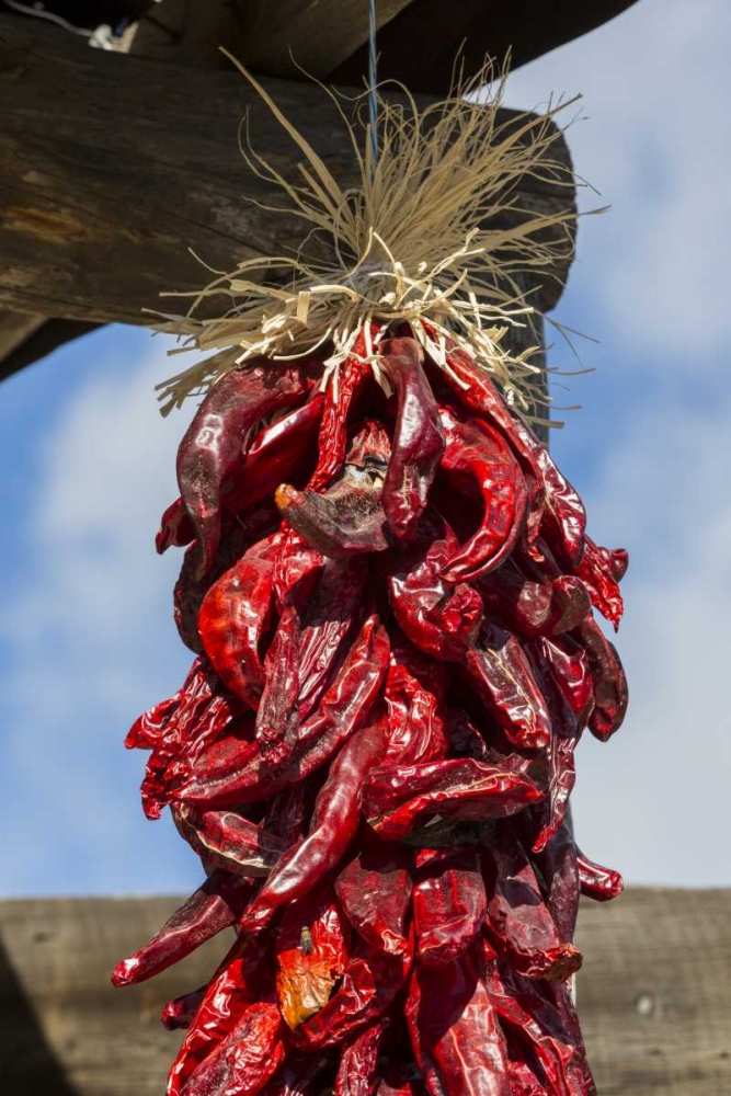 USA, New Mexico, Pinos Altos Ristas hung to dry